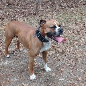 Meet your Posher, Denise